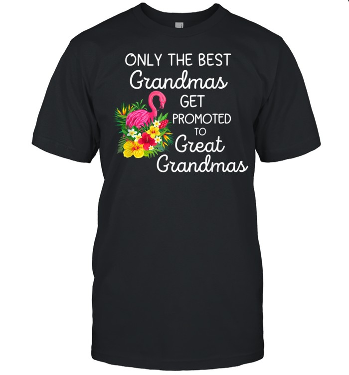 Only The Best Grandmas Get Promoted To Great Grandmas shirt