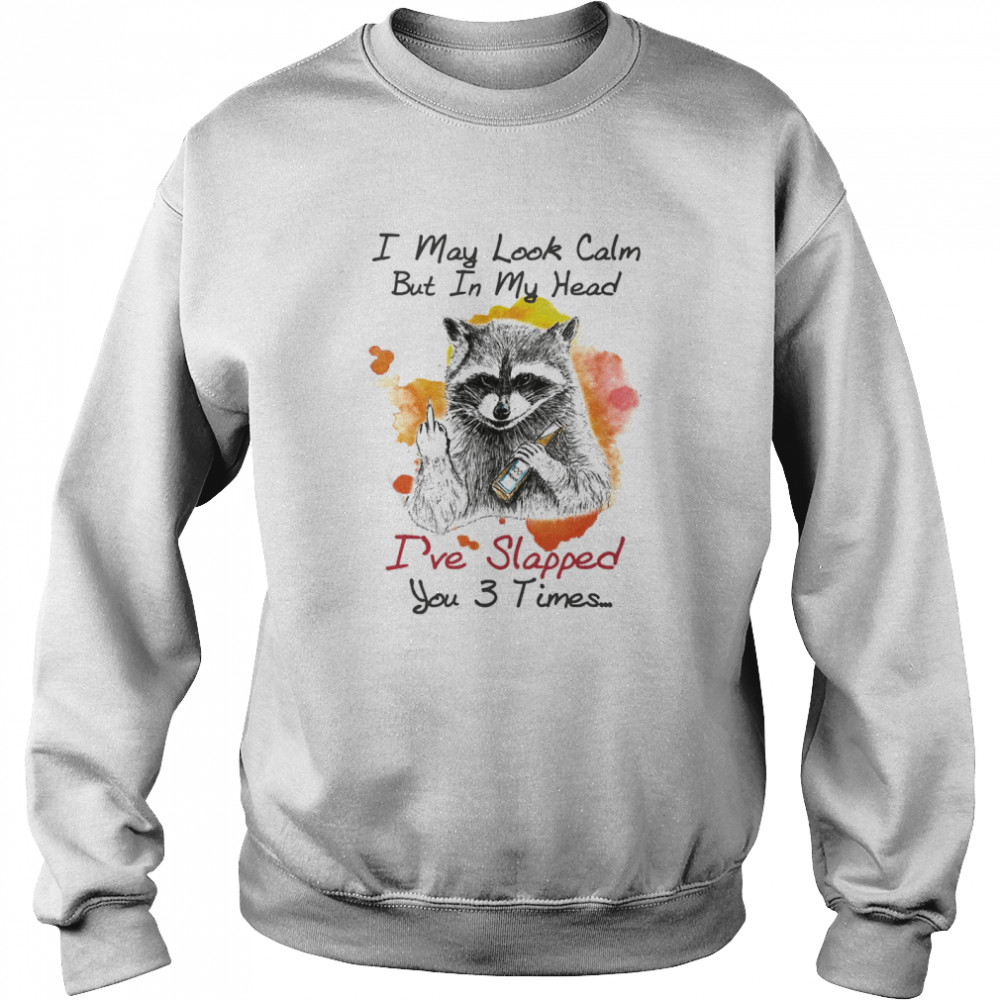 Raccoon I May Look Calm But In My Head I’ve Slapped You 3 Times T-shirt Unisex Sweatshirt