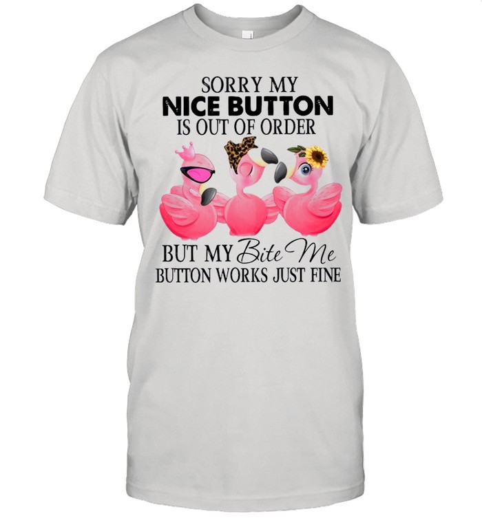 Sorry My Nice Button Is Out Of Order But My Bite Me Button Works Just Fine 2021 shirt Classic Men's T-shirt