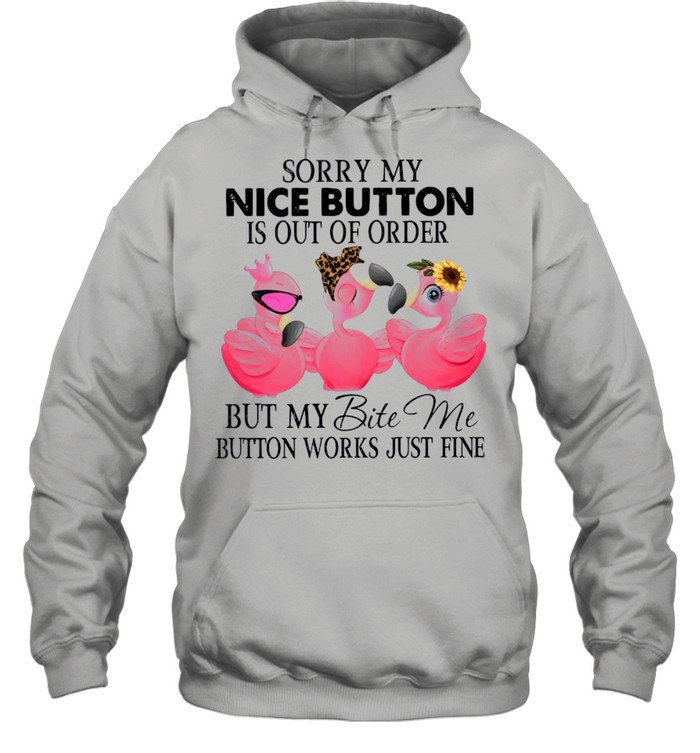 Sorry My Nice Button Is Out Of Order But My Bite Me Button Works Just Fine 2021 shirt Unisex Hoodie