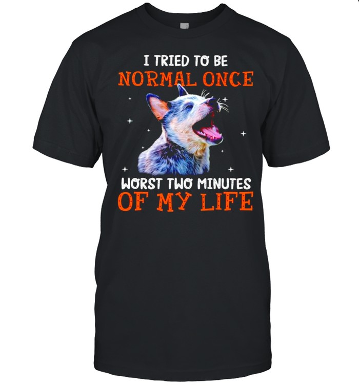 Heeler I tried to be normal once worst two minutes of my life shirt Classic Men's T-shirt
