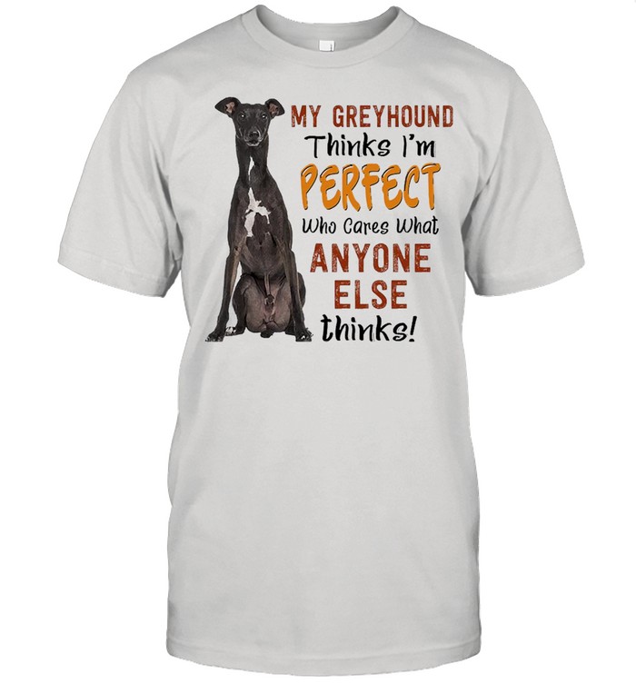 My Greyhound Thinks I’m Perfect Who Cares What Anyone Else Thinks T-shirt