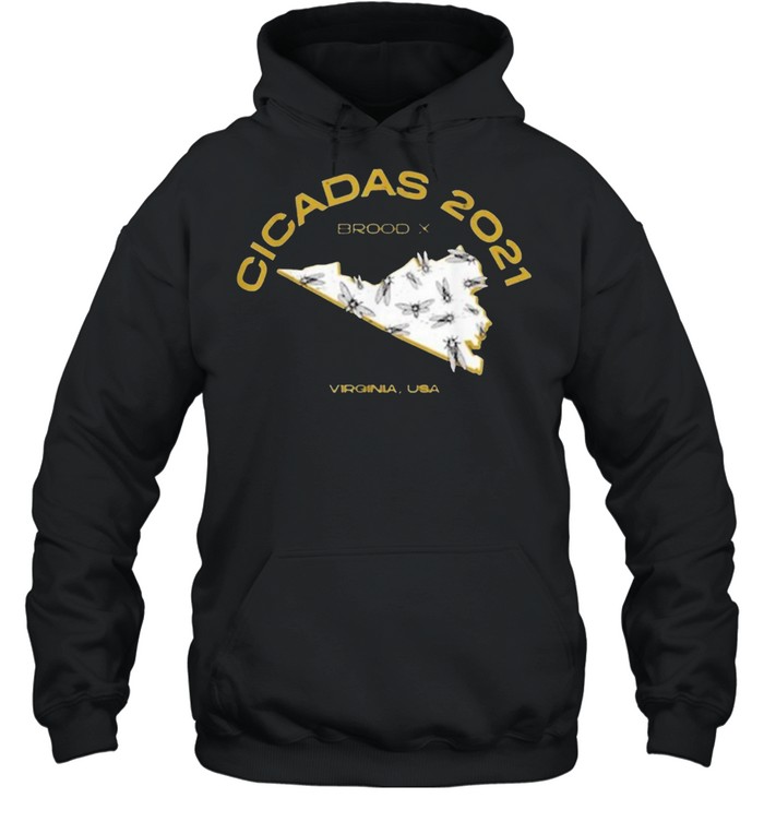 Virginia brood x cicada invasion 2021 shirt Unisex Hoodie