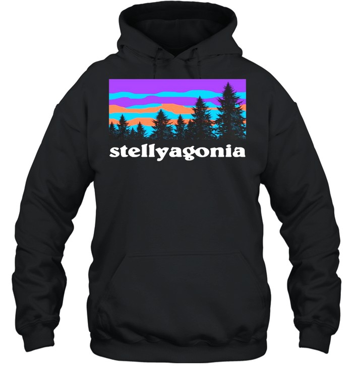 Stelly Family Hiking And Camping T-shirt Unisex Hoodie