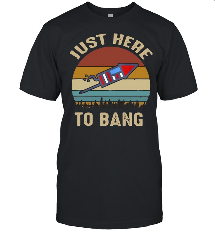 I’m Just Here To Bang 4Th Of July Vintage T-shirt