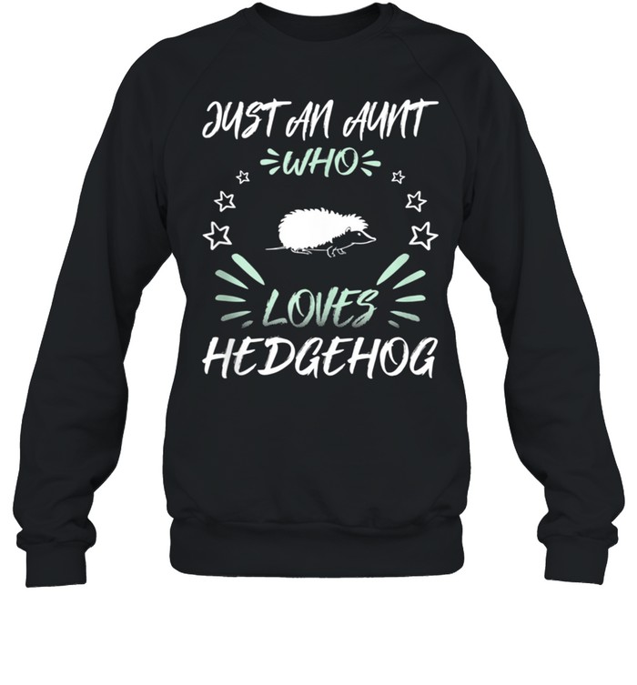Just An Aunt Who Loves Hedgehog shirt Unisex Sweatshirt