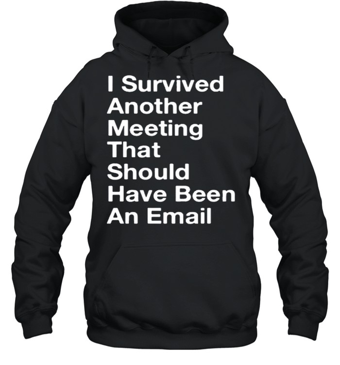 I Survived Another Meeting That Should Have Been An Email shirt Unisex Hoodie