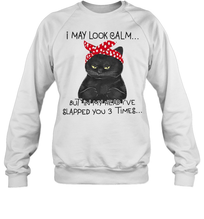 I May Look Calm But In My Head I’ve Slapped You 3 Times Black Cat T-shirt Unisex Sweatshirt