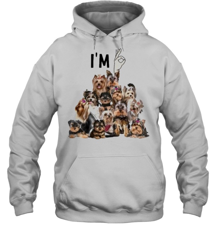 i’m Ok Yorkshine Terriers Unisex Hoodie