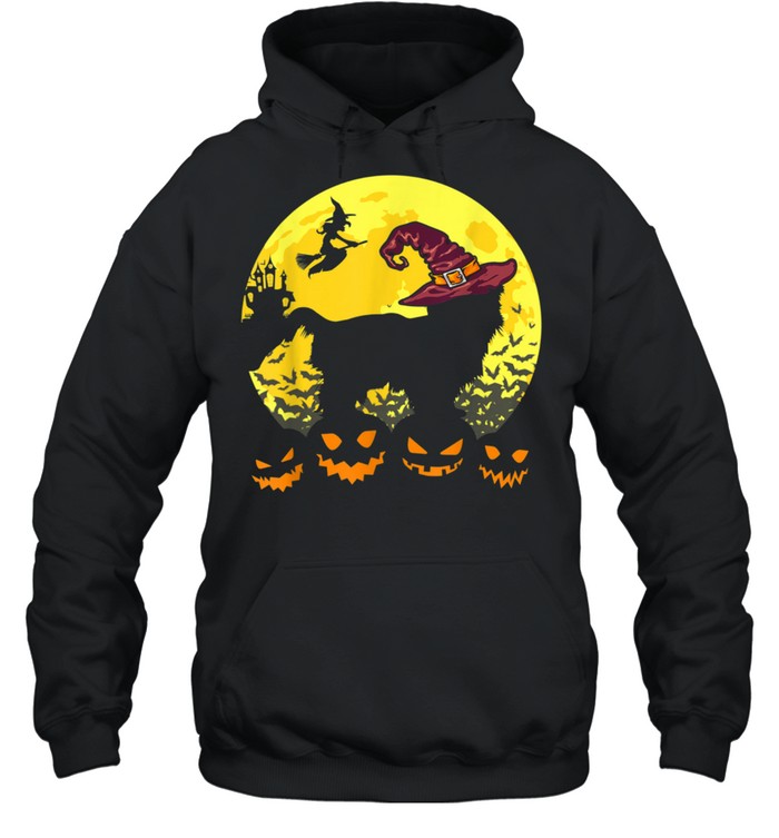 Retro Halloween Costume Shih Tzu With Witch Hat shirt Unisex Hoodie