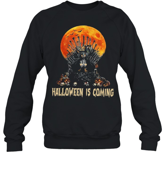 Dachshund Witch Halloween Is Coming shirt Unisex Sweatshirt