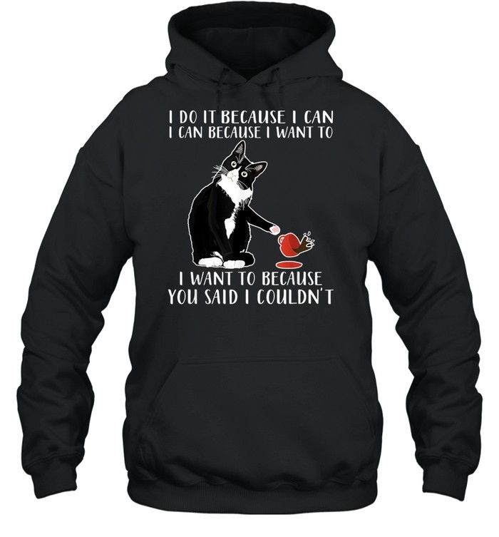 I do it because I can I can because I want to shirt Unisex Hoodie