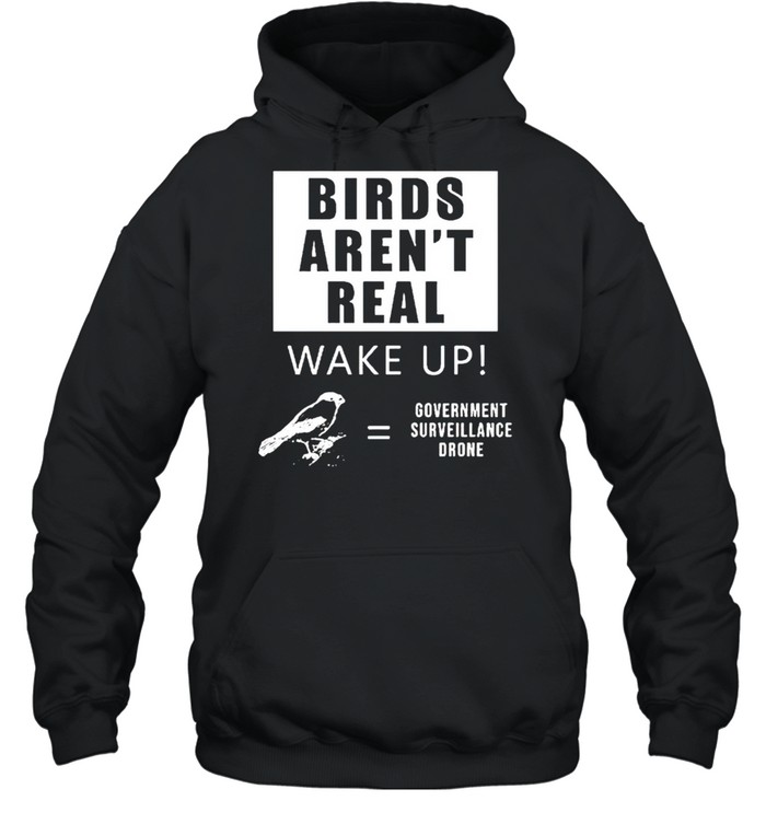 Birds aren’t real wake up government surveillance drone shirt Unisex Hoodie