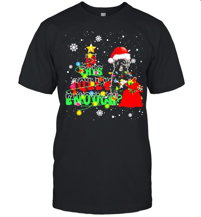 merry christmas dog shirt