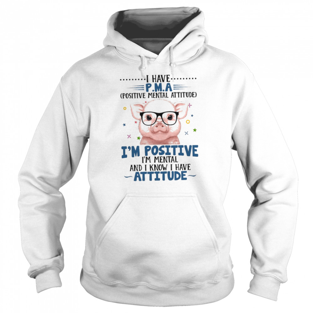 Pig I Have Positive Mental Attitude For Pig Lover Im Positive shirt Unisex Hoodie