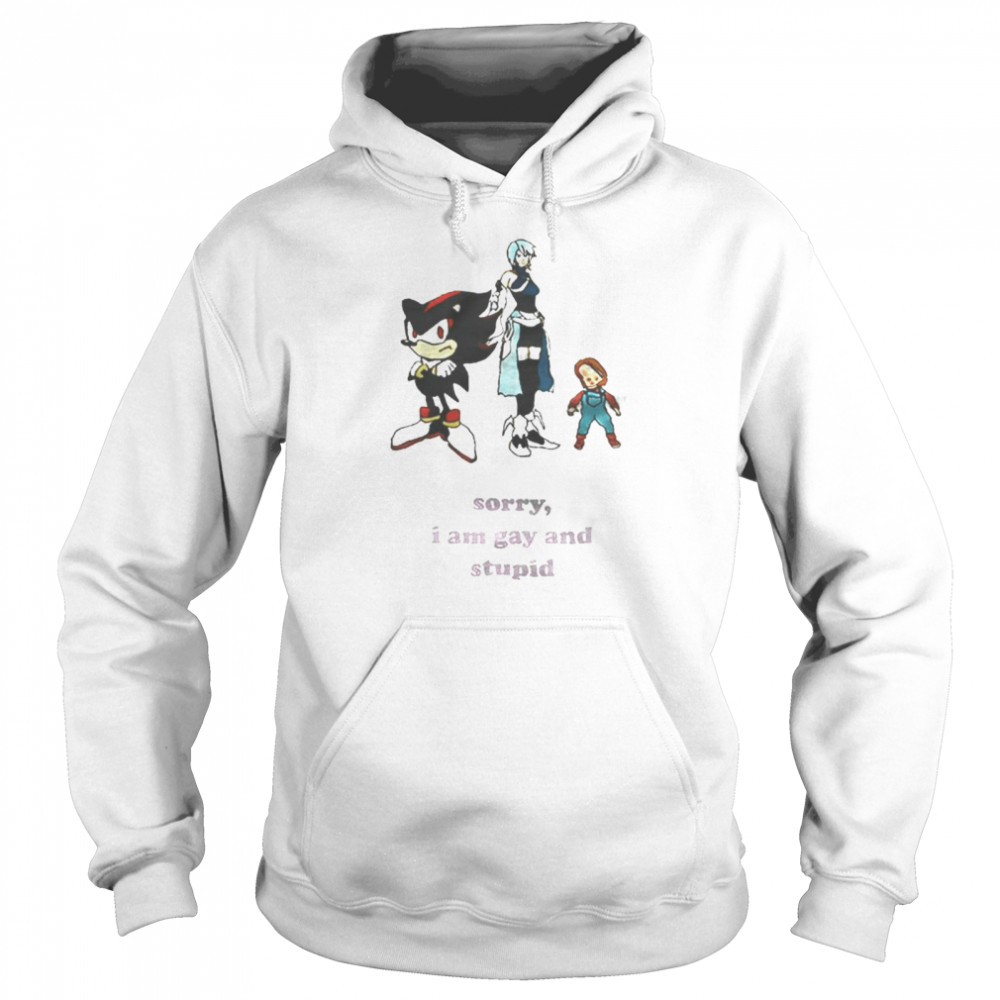 Sonic Shadow Aqua And Chucky Sorry I Am Gay And Stupid Unisex Hoodie