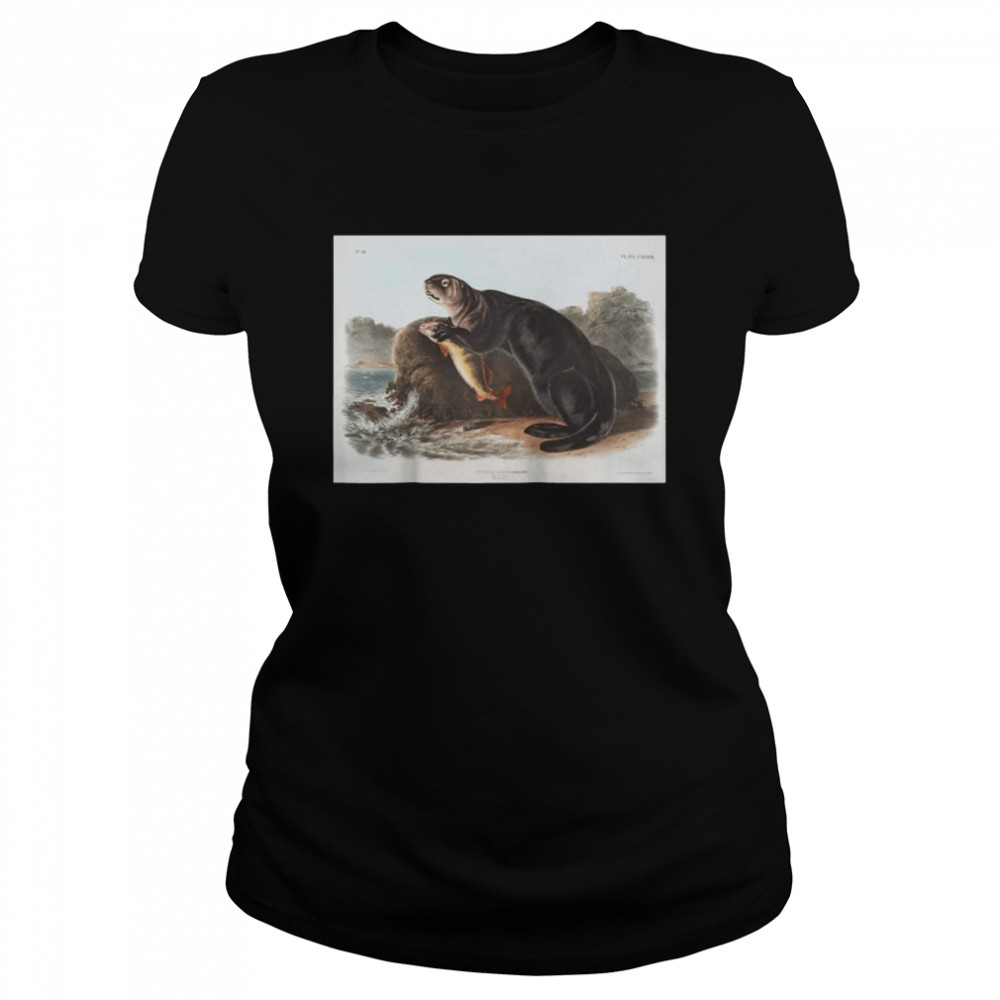 Vintage American Sea Otter Animal Illustration & Classic Women's T-shirt