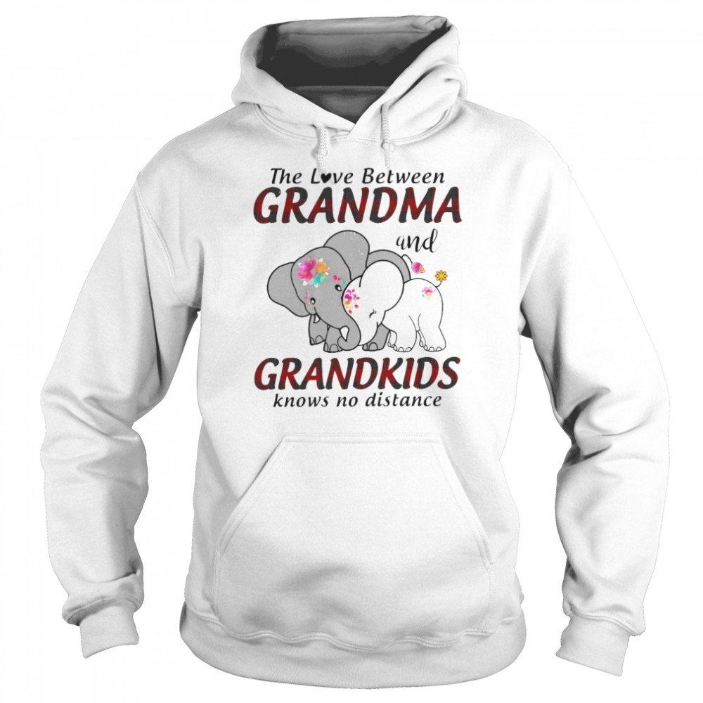 Elephant The Love Between Grandma And Grandkids Knows No Distance T-shirt Unisex Hoodie