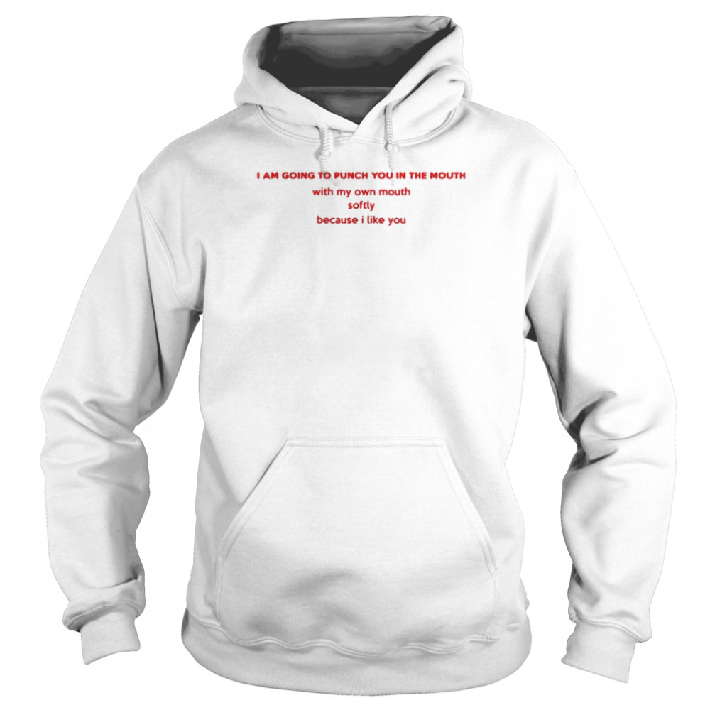 Official i am going to punch you in the mouth shirt Unisex Hoodie