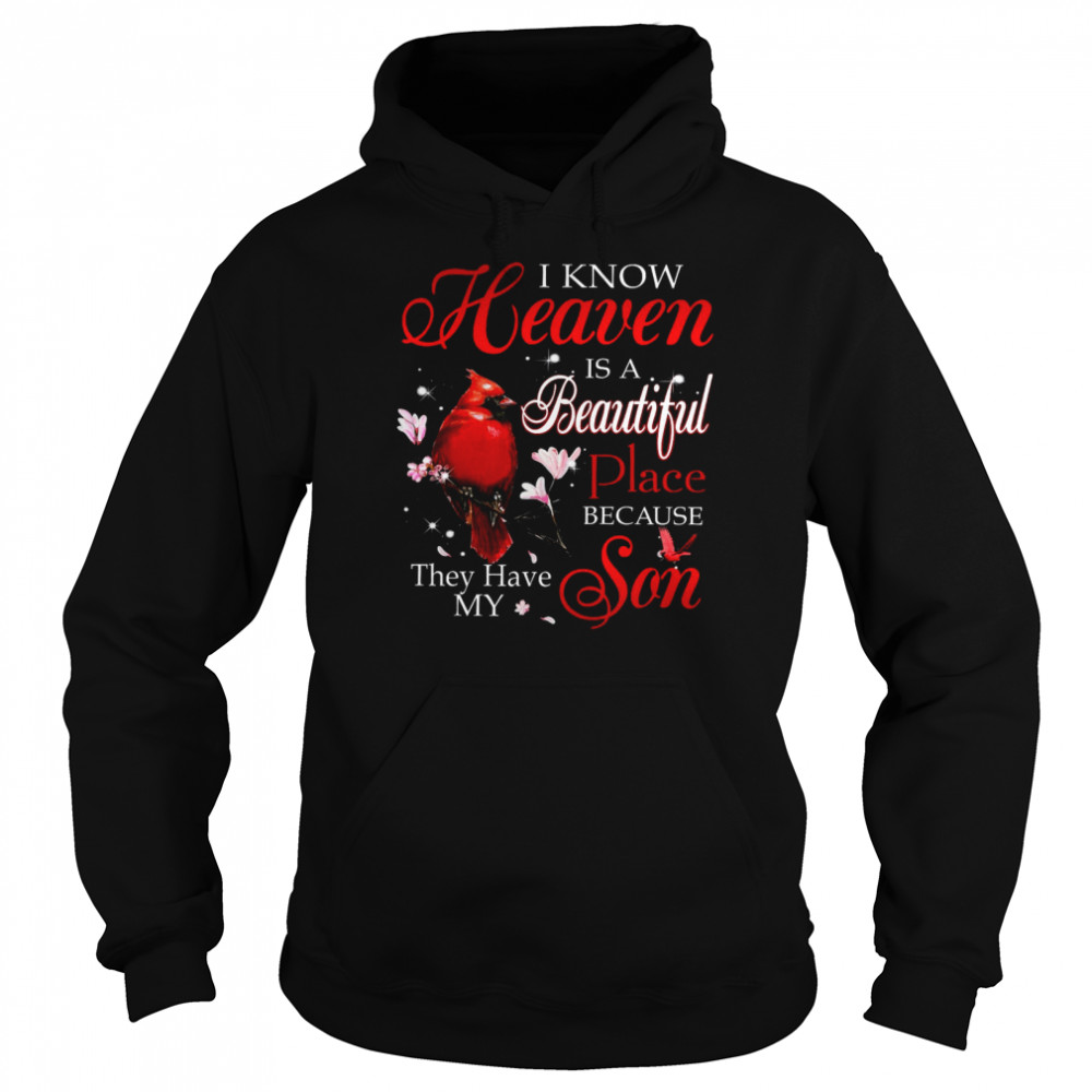 I Know Heaven Is A Beautiful Place Because They Have My Son Unisex Hoodie