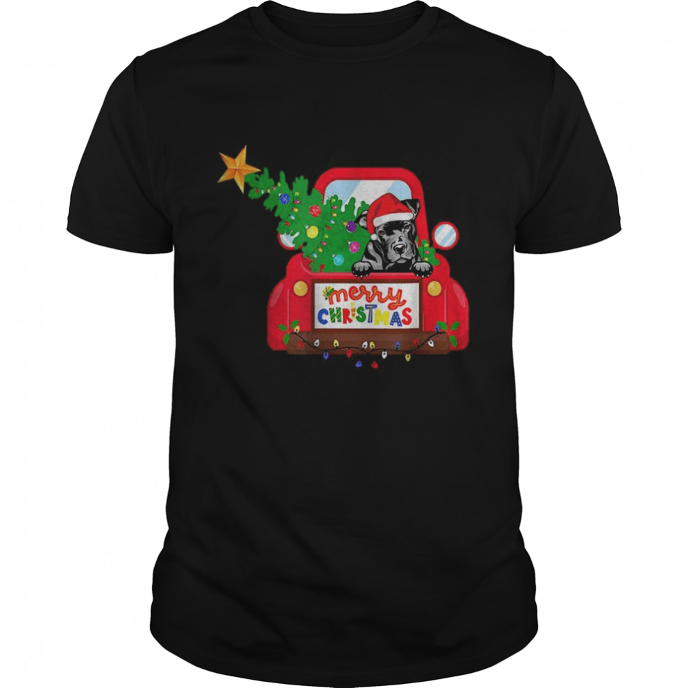 Pit Bull Dog Riding Red Truck Christmas Holiday best T- Classic Men's T-shirt