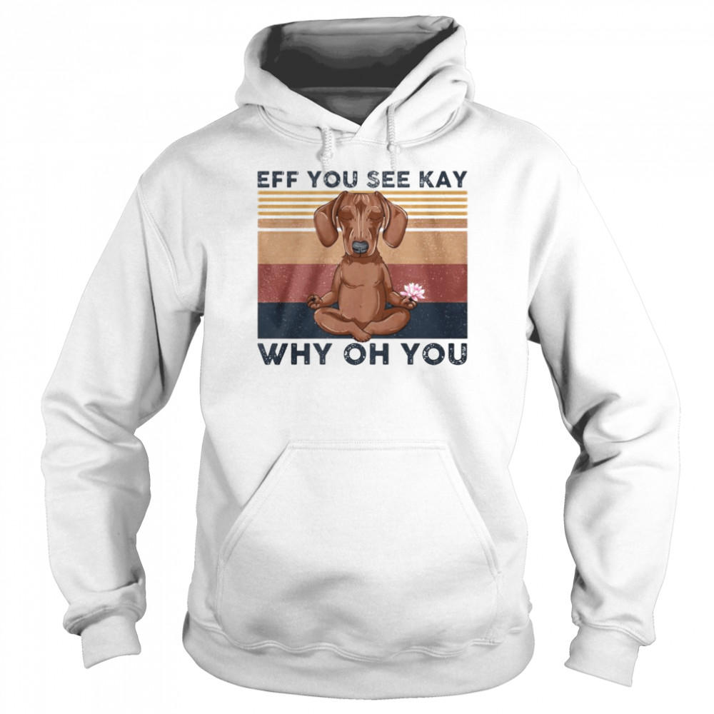 dachshund eff you see kay why oh you vintage shirt Unisex Hoodie