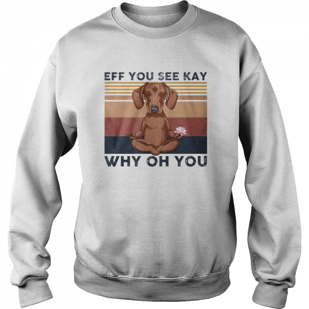 dachshund eff you see kay why oh you vintage shirt Unisex Sweatshirt