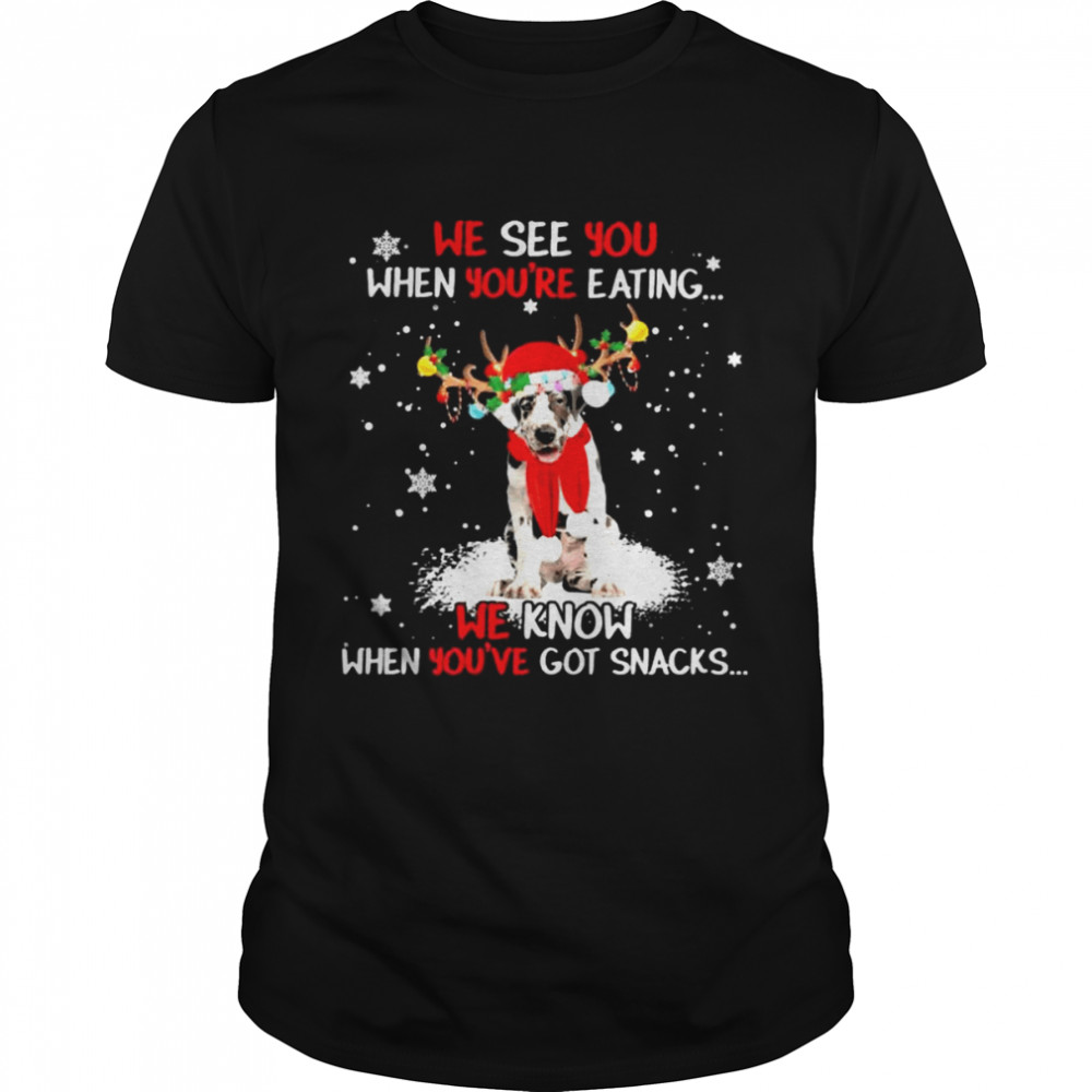 Great Dane we see You when youre eating we know when youre got snacks Christmas shirt Classic Men's T-shirt