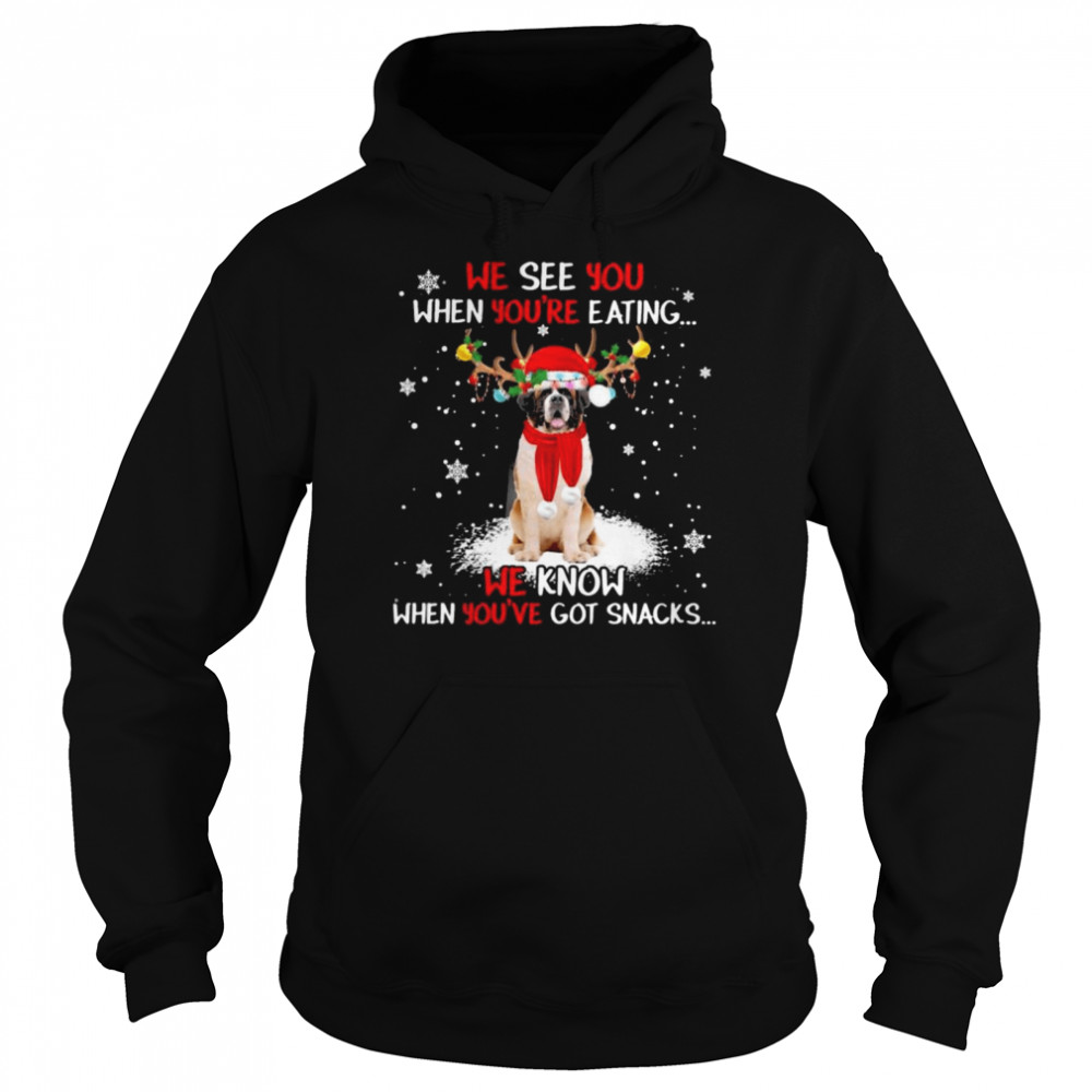 St Bernard we see You when youre eating we know when youre got snacks Christmas shirt Unisex Hoodie