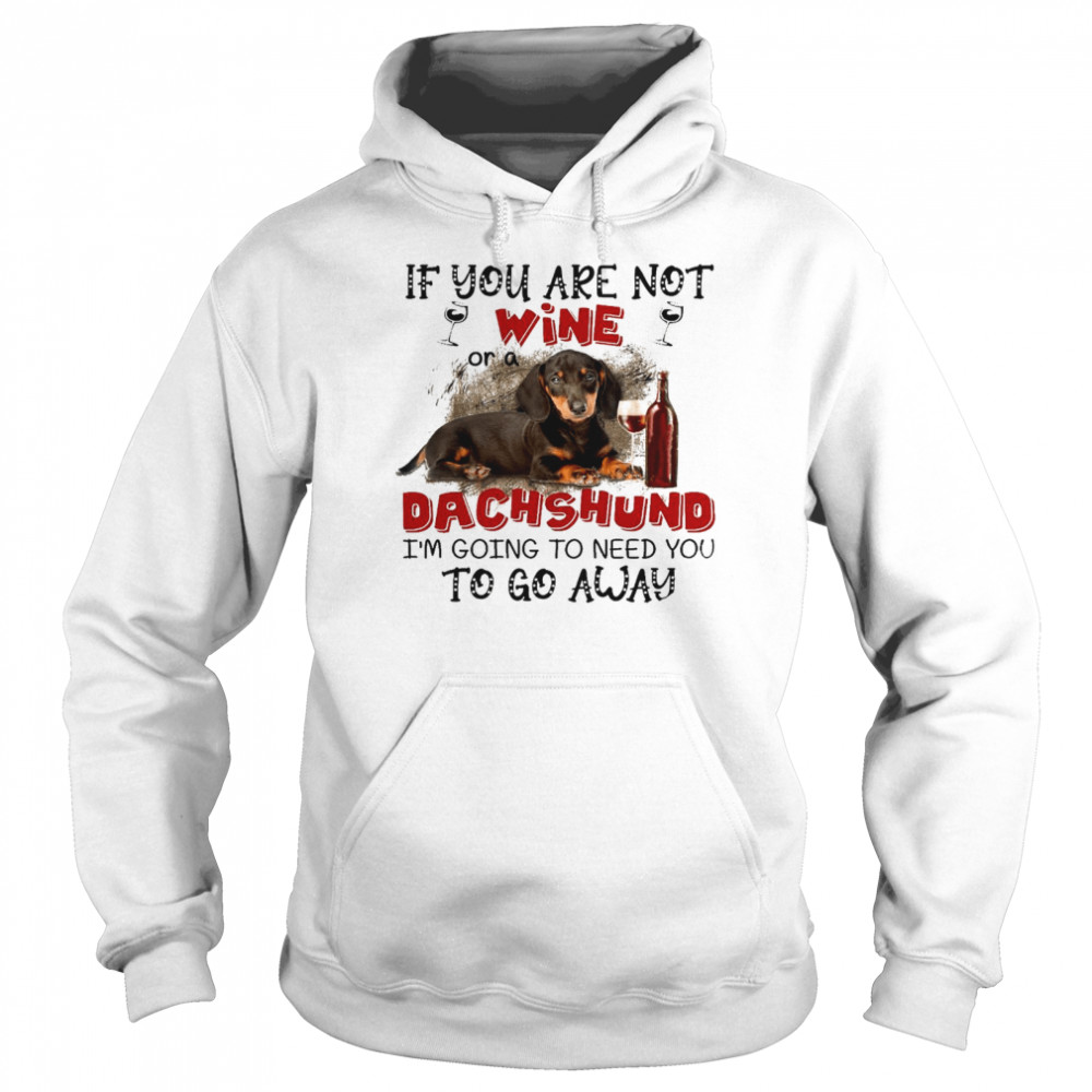 If you are not wine or a dachshund im going to need you to go away shirt Unisex Hoodie