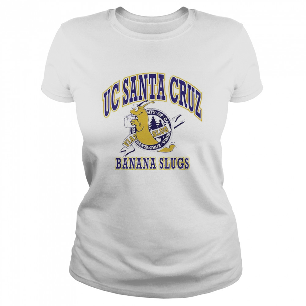 UC SANTA CRUZ BANANA SLUGS Tシャツ グレー 2XL www.cleanlineapp.com