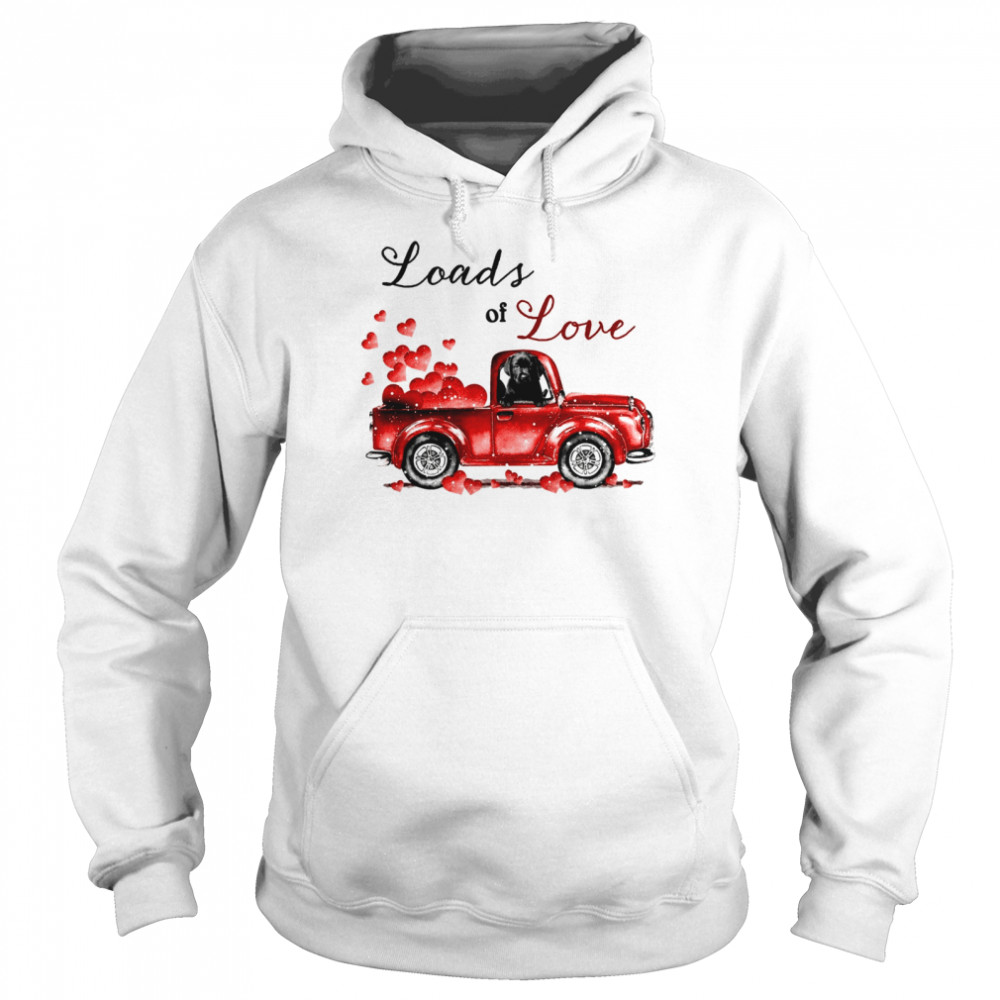 Loads of love shirt Unisex Hoodie