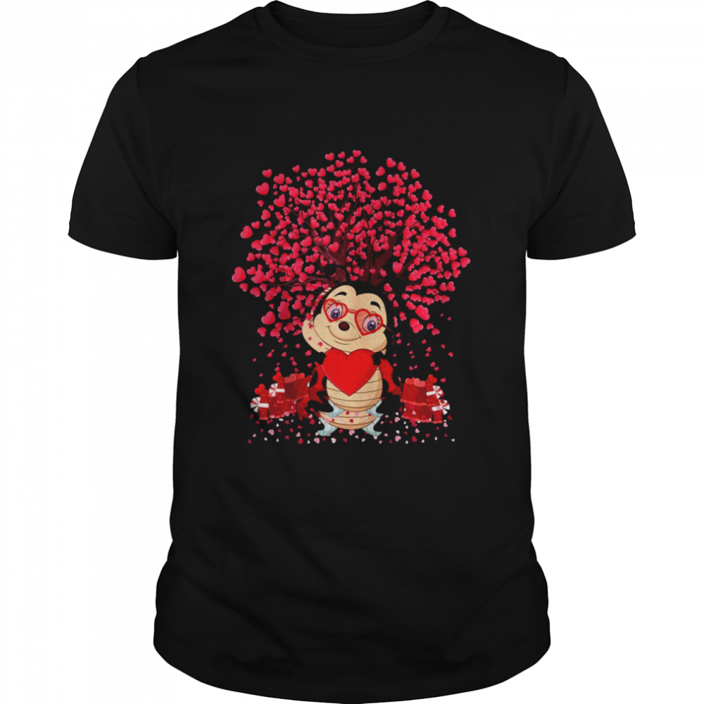 Ladybird Ladybird Valentine’s Day Shirt