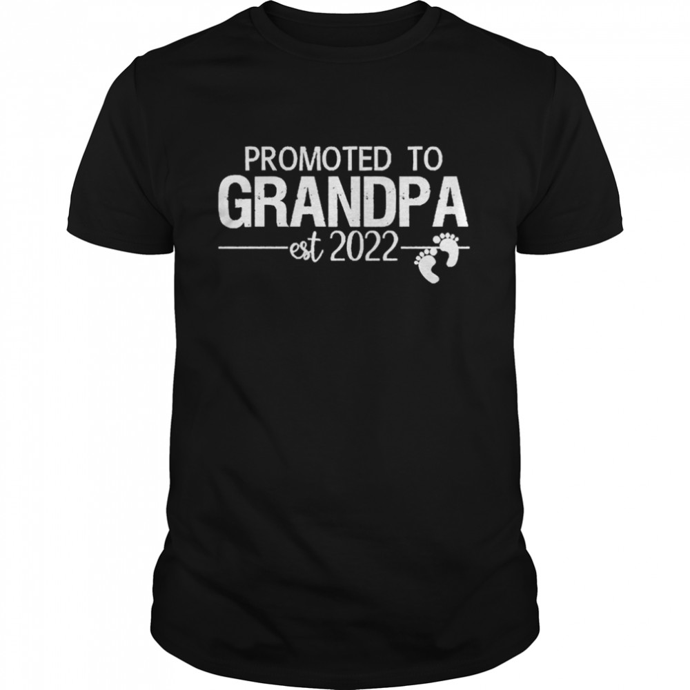 Promoted To Grandpa 2022  Classic Men's T-shirt
