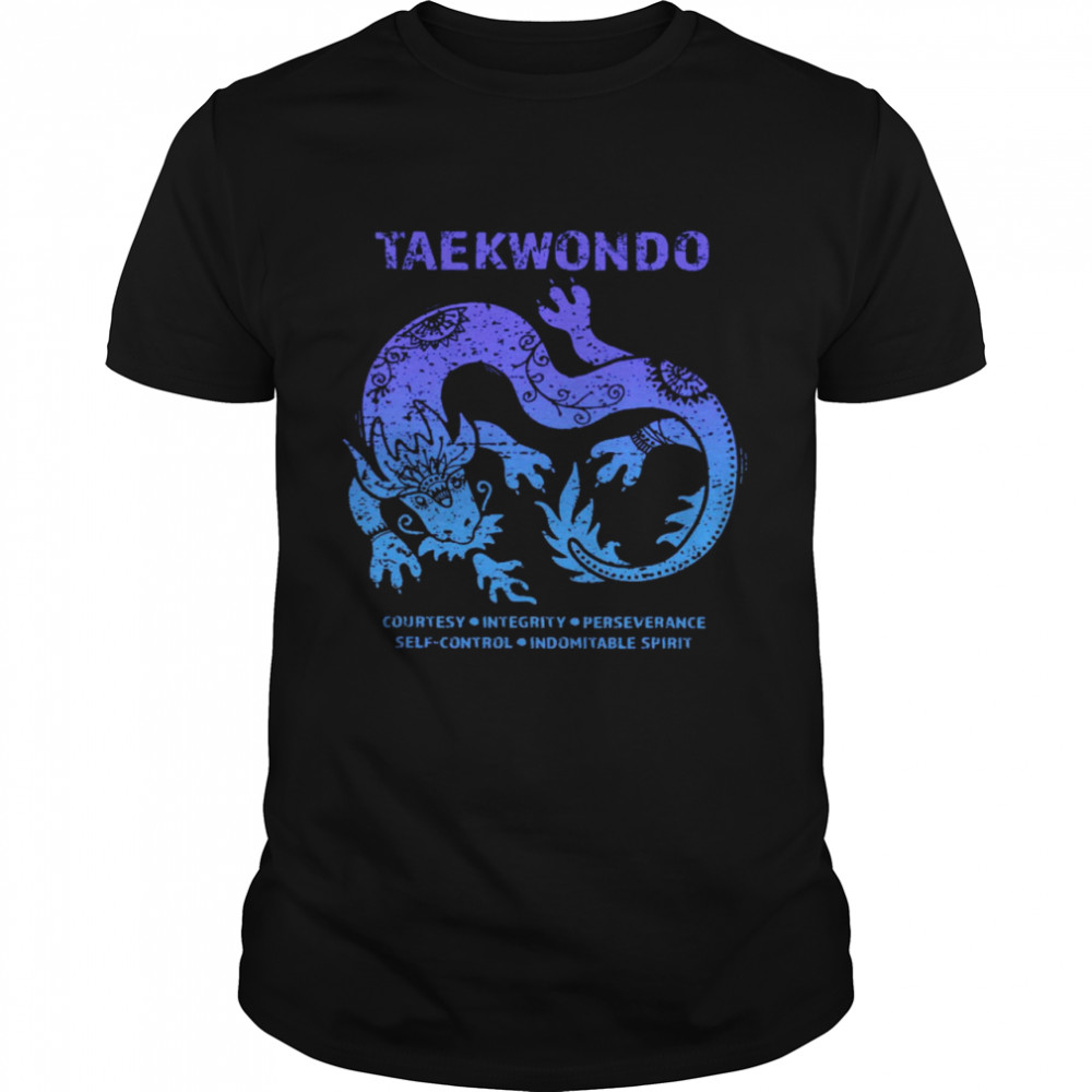 Taekwondo Courtesy Integrity Perseverance Classic Men's T-shirt