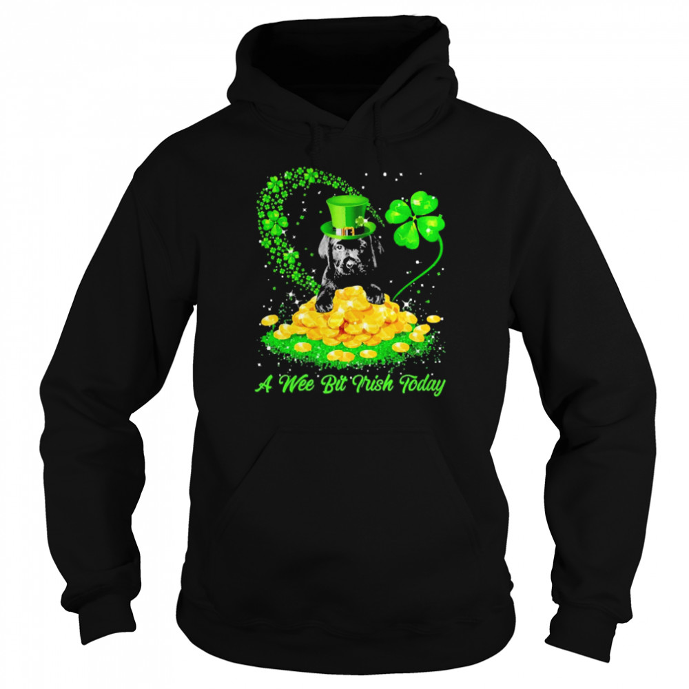 Irish Today Black Labrador Pup Dog A Wee Bit Irish Today Unisex Hoodie