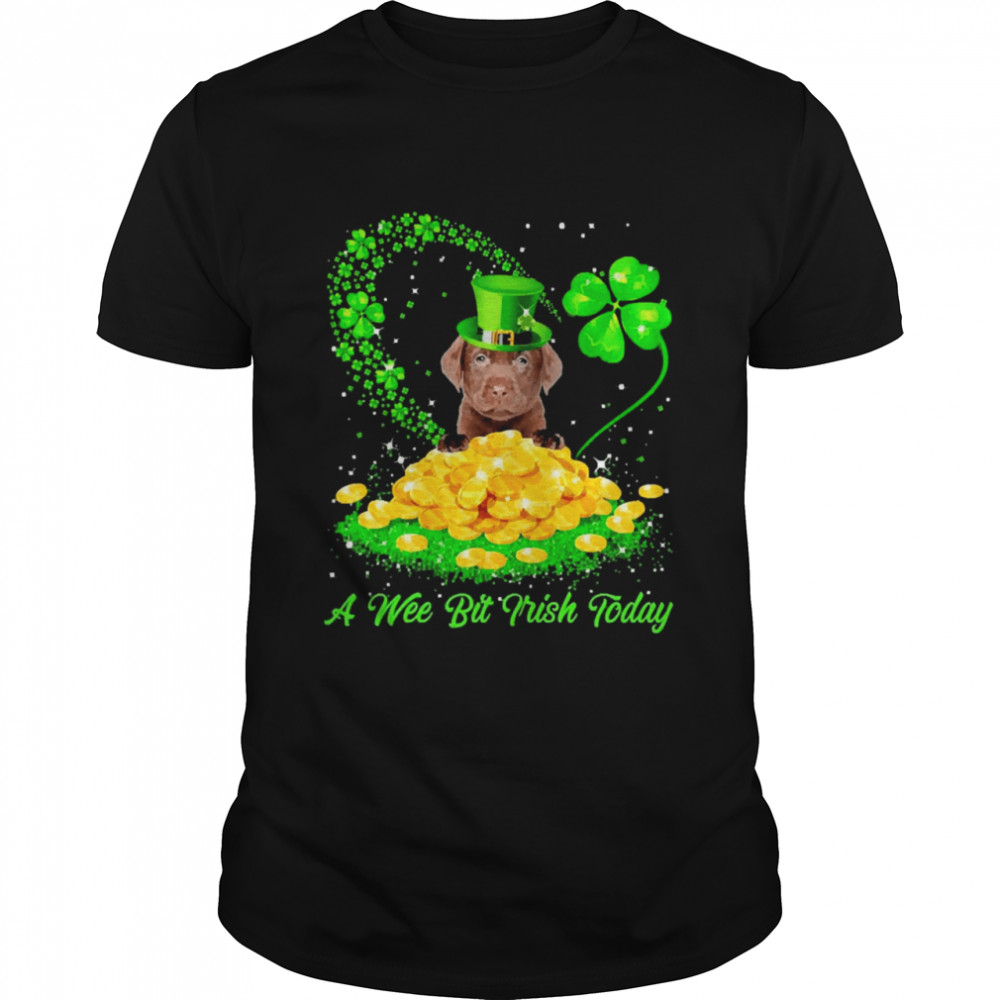 Irish Today Chocolate Labrador Dog A Wee Bit Irish Today Classic Men's T-shirt