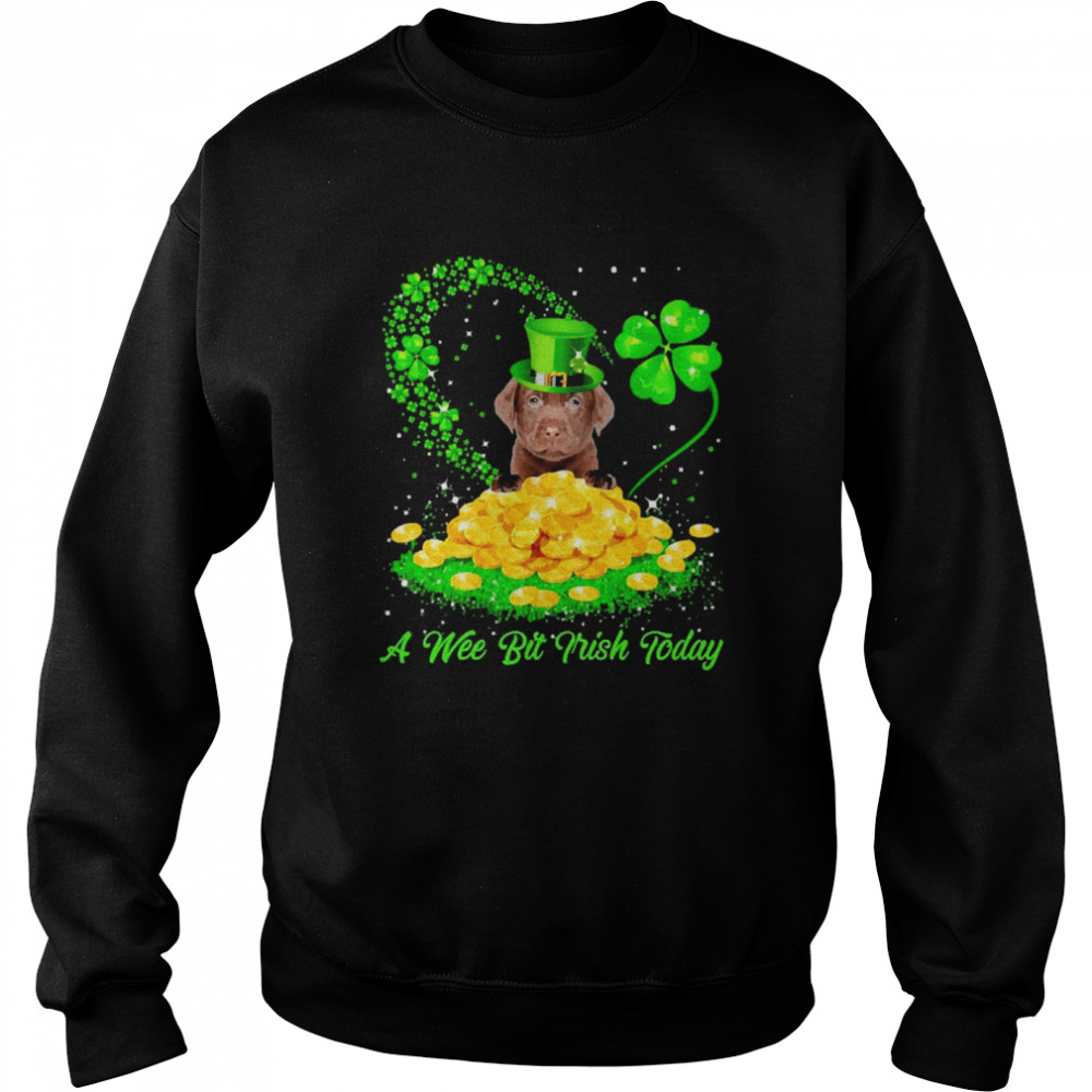 Irish Today Chocolate Labrador Dog A Wee Bit Irish Today Unisex Sweatshirt