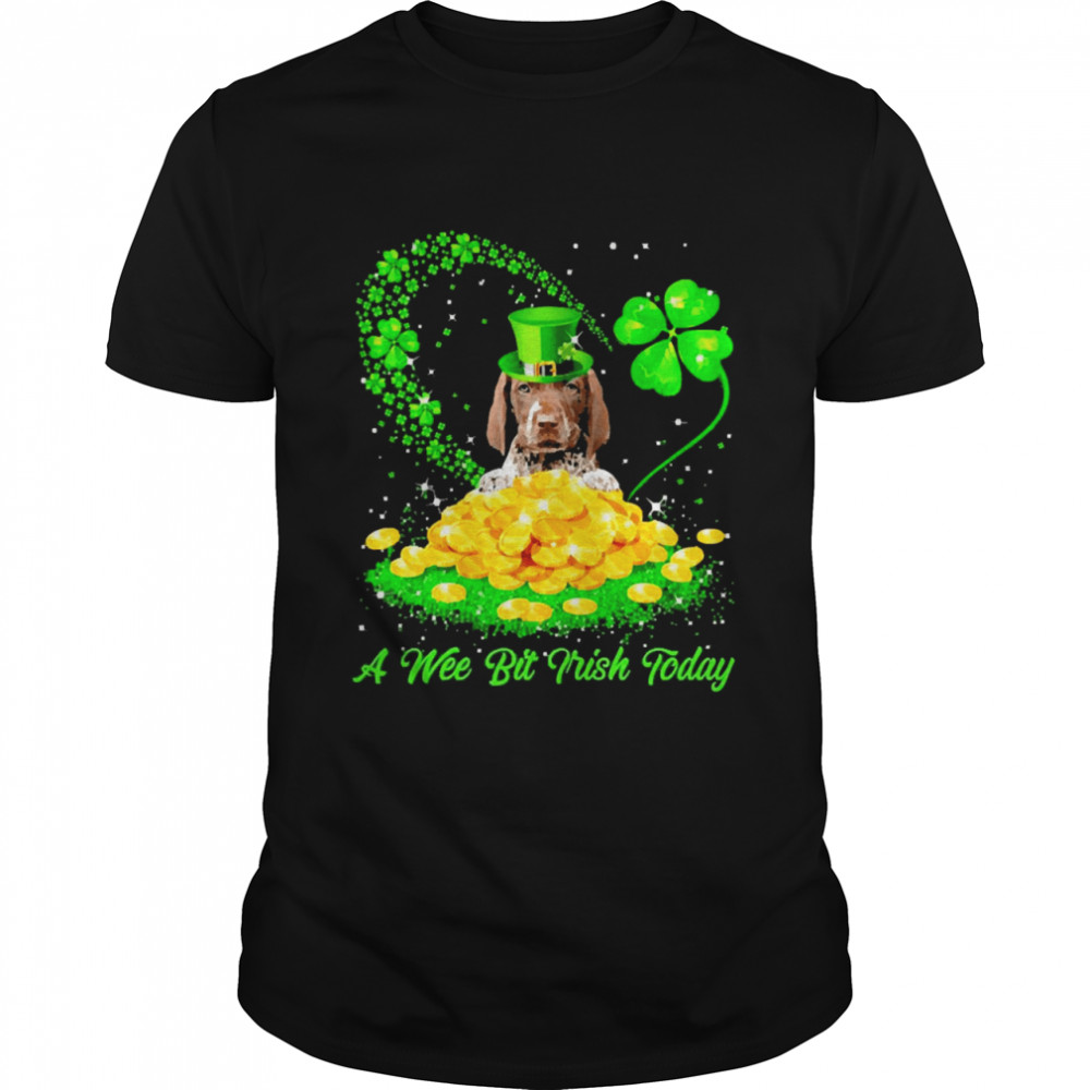 Irish Today German Shorthaired Pointer Dog A Wee Bit Irish Today  Classic Men's T-shirt