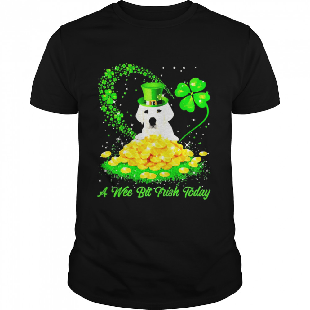 Irish Today White Labrador Dog A Wee Bit Irish Today Classic Men's T-shirt