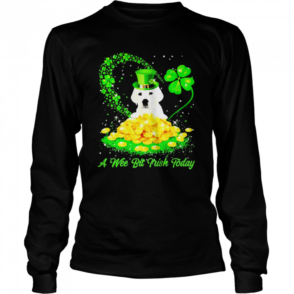 Irish Today White Labrador Dog A Wee Bit Irish Today Long Sleeved T-shirt