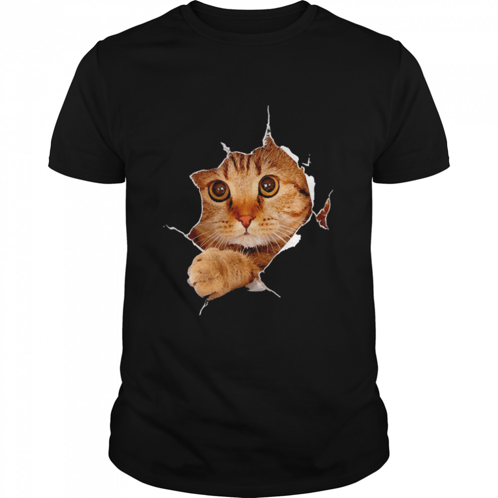 Sweet Kitten Torn Shirt
