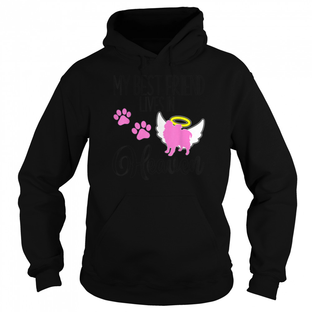 Pomeranian My Best Friend Lives Heaven Pet Loss Puppy Lover T- B09W5KRXL6 Unisex Hoodie