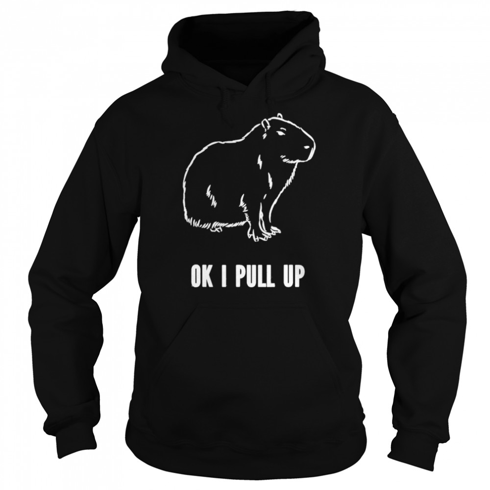 Ok I Pull Up Capybara Unisex Hoodie