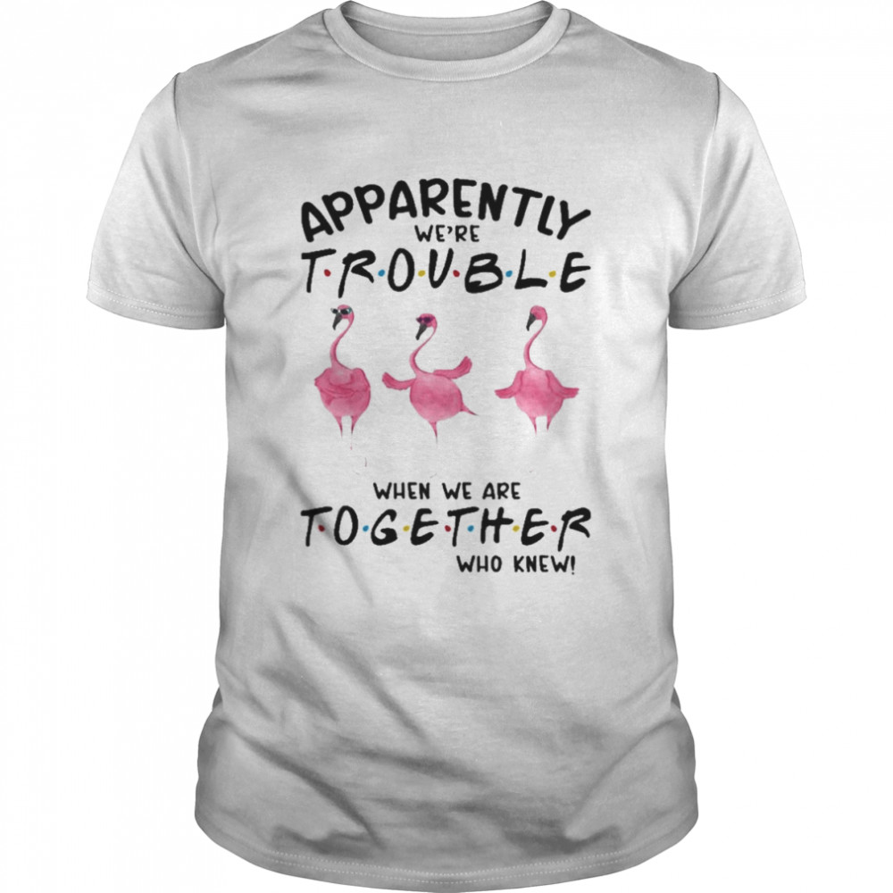 Flamingos apparently we’re trouble when we are together who knew 2022 shirt