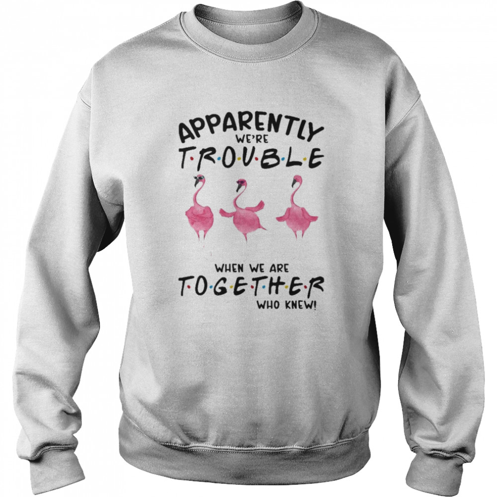 Flamingos apparently we’re trouble when we are together who knew 2022 shirt Unisex Sweatshirt