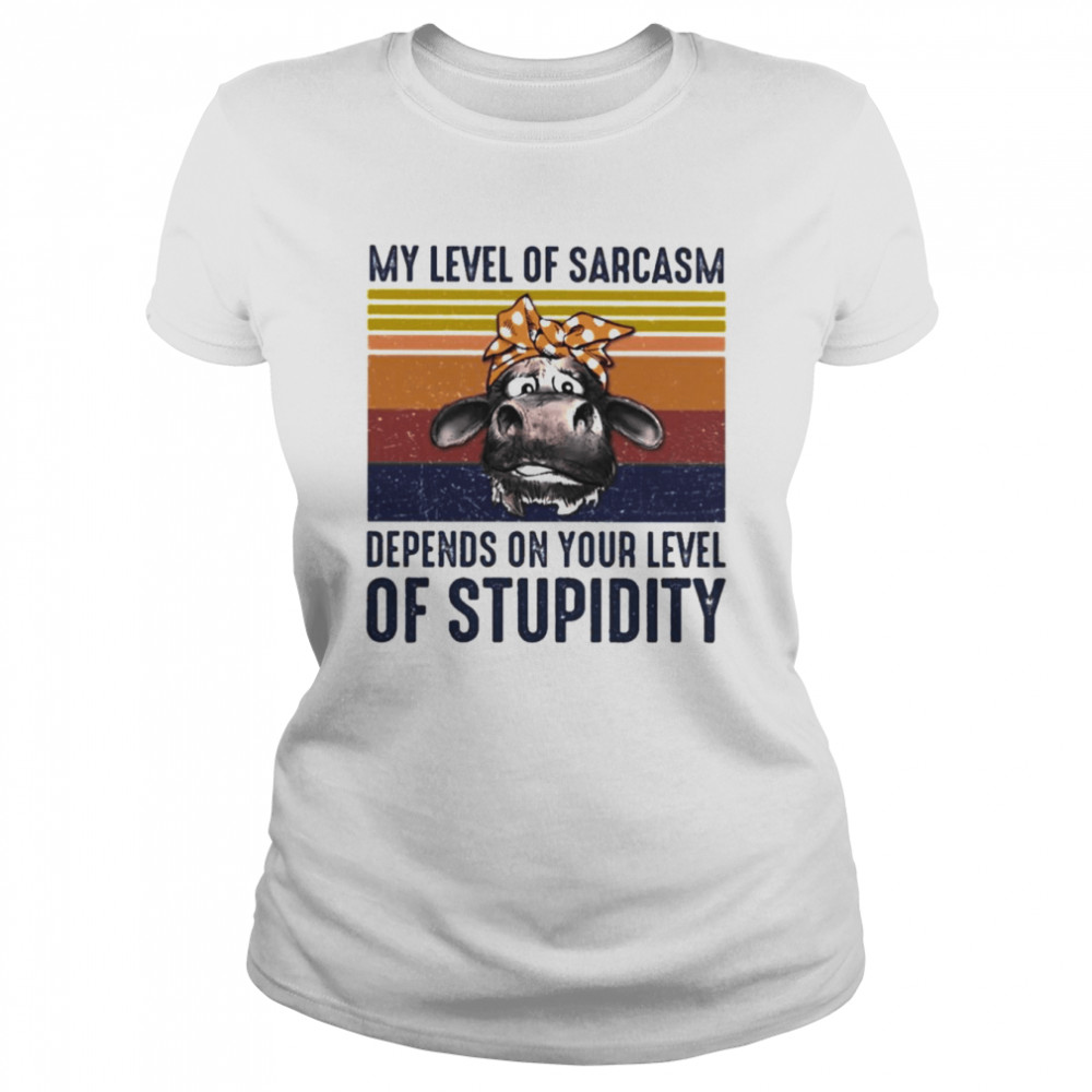 Horse my level of sarcasm depends on your level of stupidity vintage shirt Classic Women's T-shirt