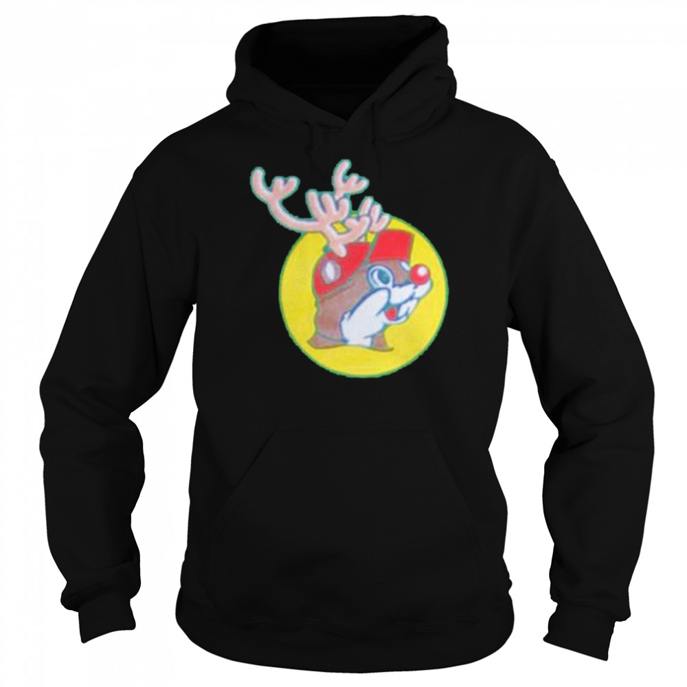 Buc-Ee’s Christmas Holiday shirt Unisex Hoodie