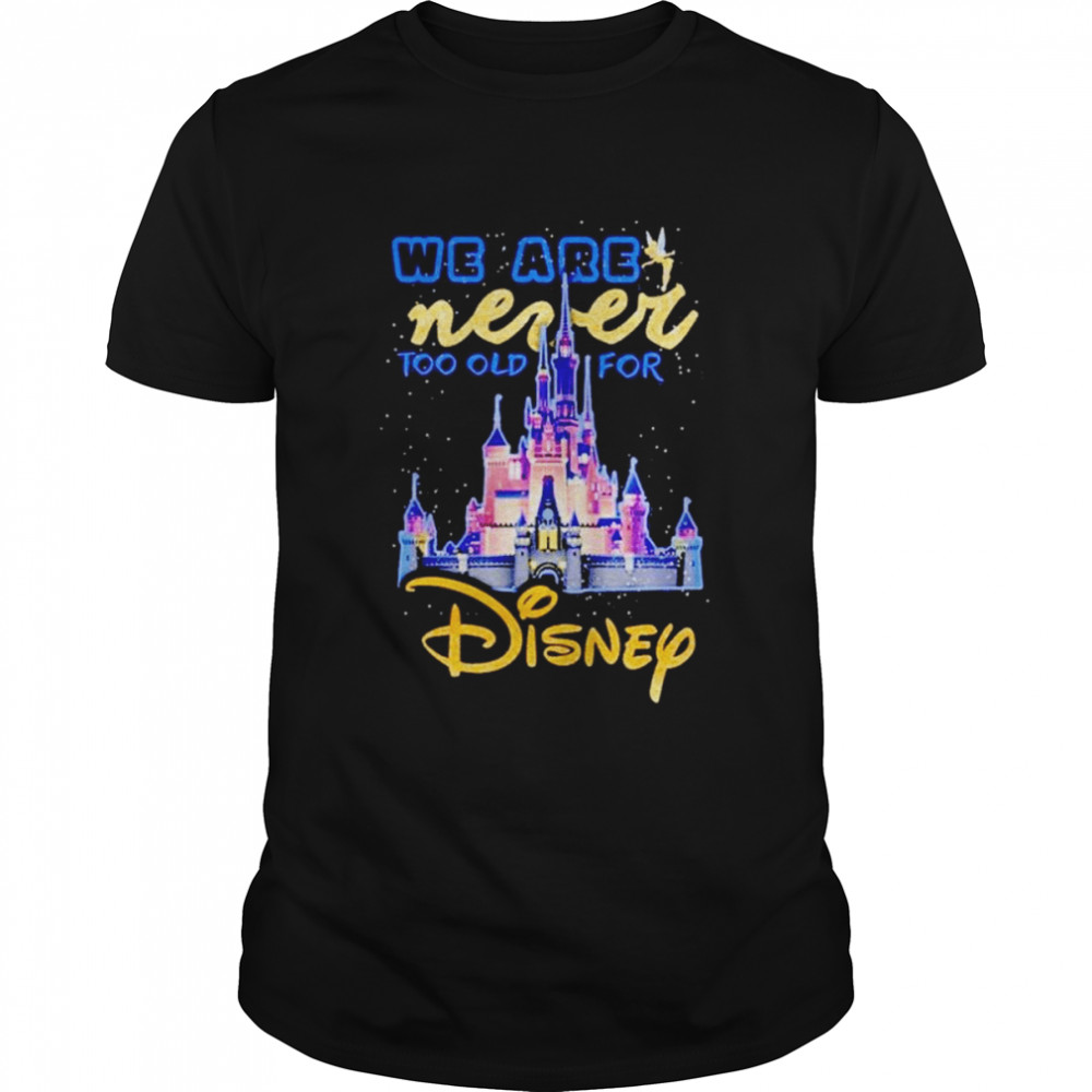 Disney World Castle UNISEX SHIRT, Disney Shirt, Minimalist Disney Shirt,  Disney Castle Shirt, Adult Disney Shirt, Cute Disney Shirt 