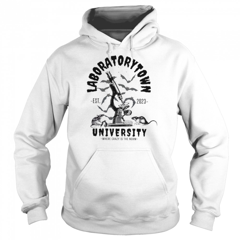 Laboratorary town university where crazy is the norm shirt Unisex Hoodie